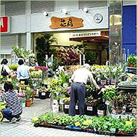 川崎本店