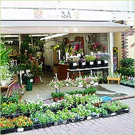 蒲田店
